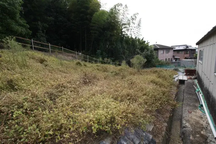 Slide 8
