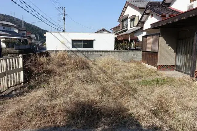 Slide 5