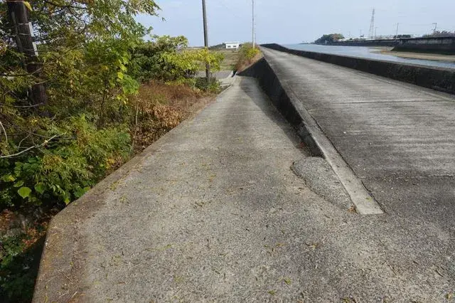 Slide 0