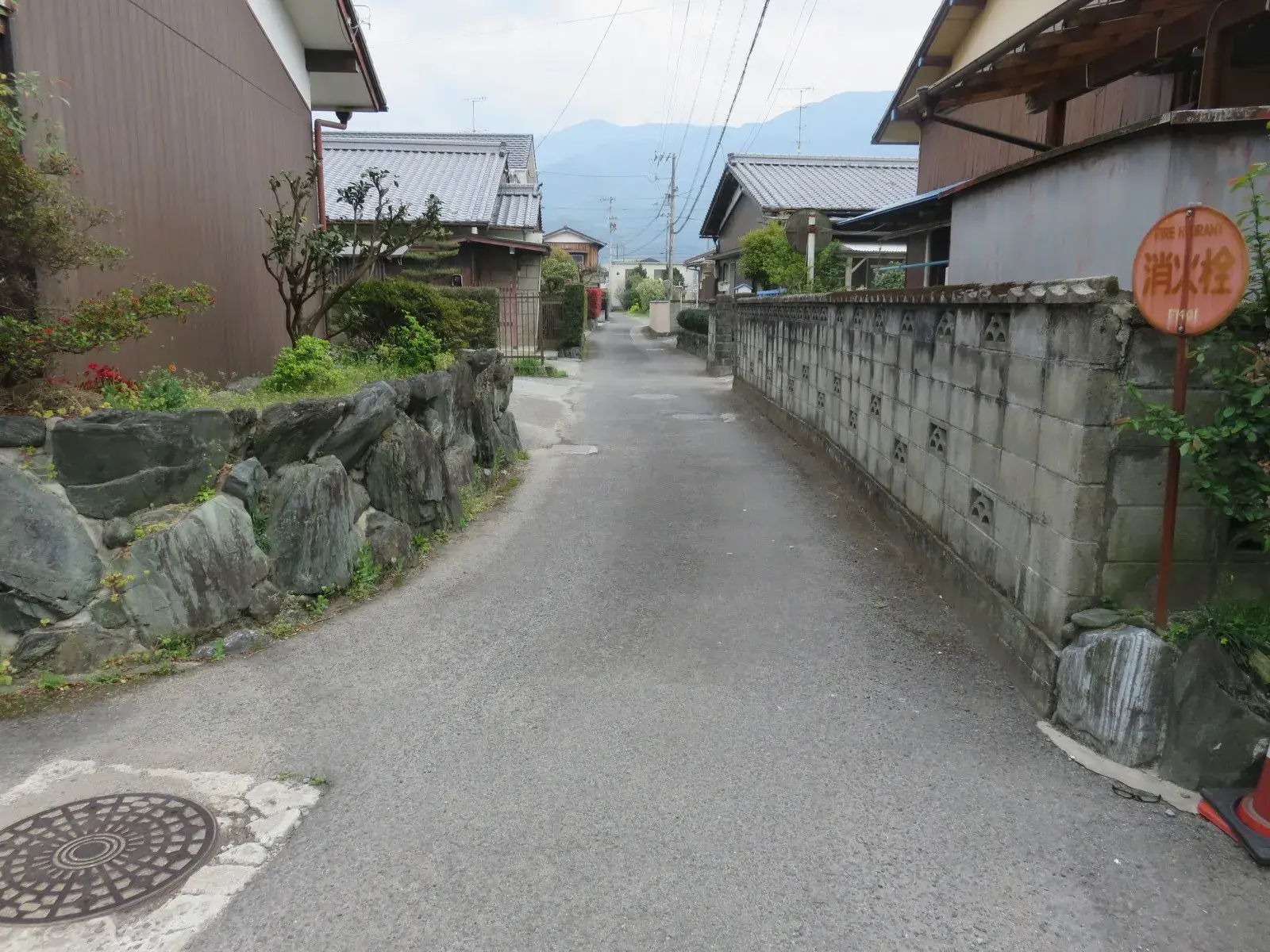 Slide 5