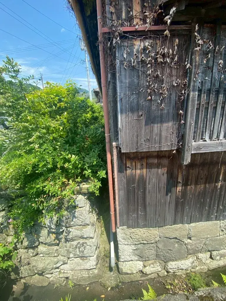 Slide 8