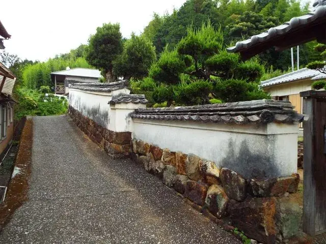 Slide 7