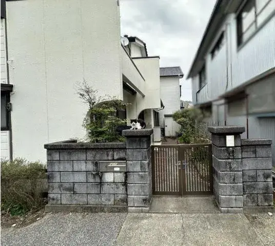 Slide 1