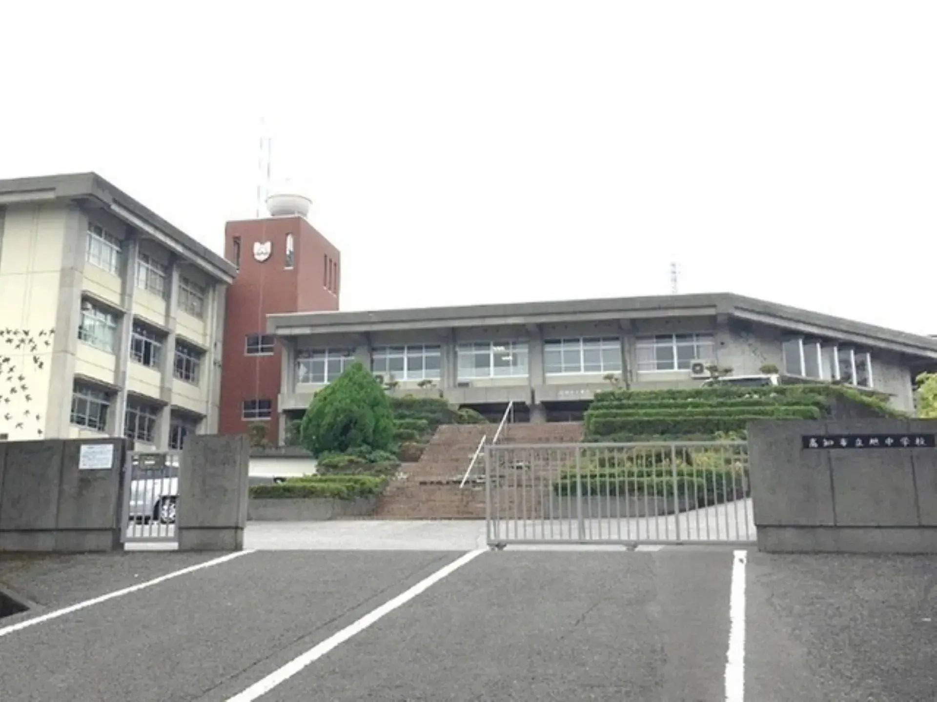 Slide 11