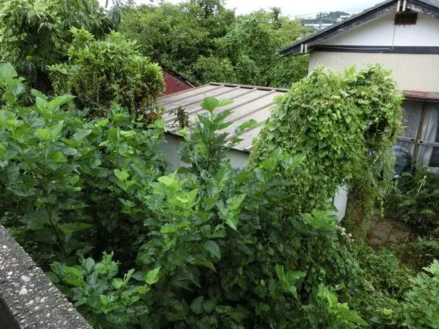 Slide 3