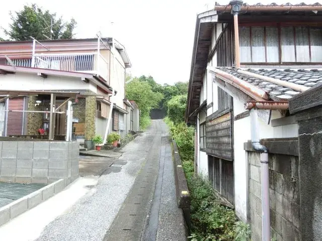 Slide 5