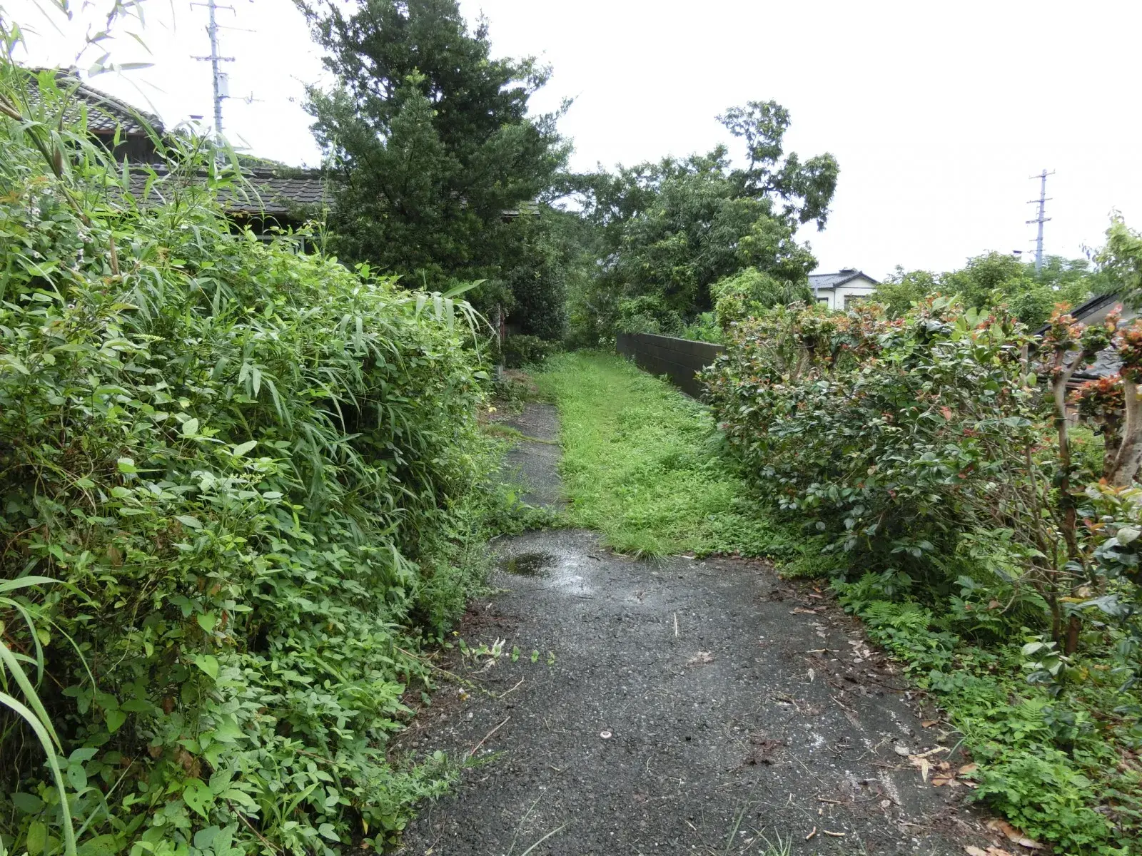 Slide 7