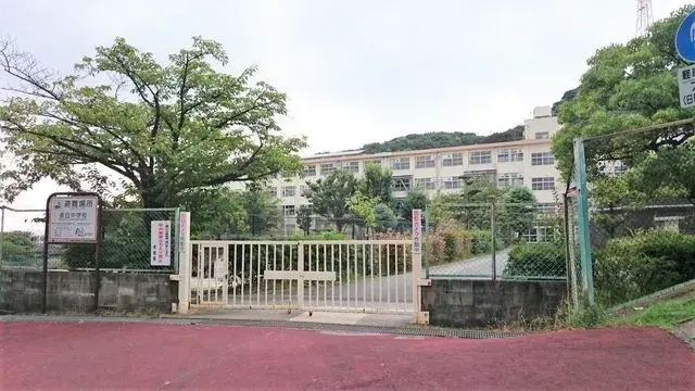 Slide 5