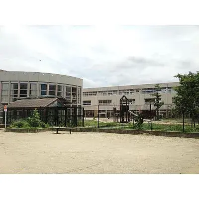 Slide 7