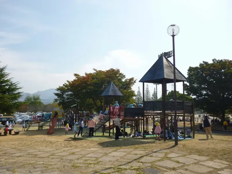 Slide 8