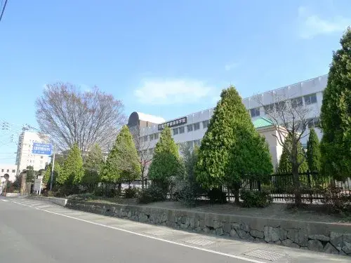 Slide 4