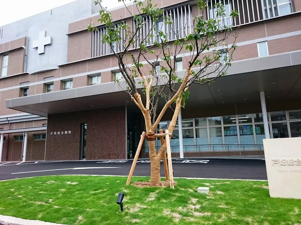 Slide 26