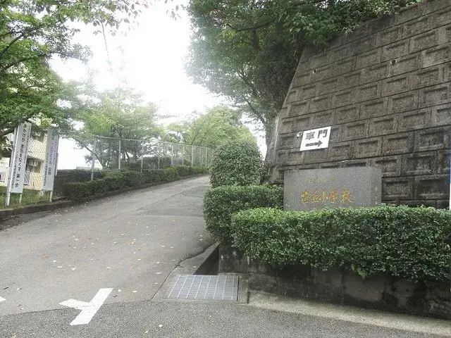 Slide 5