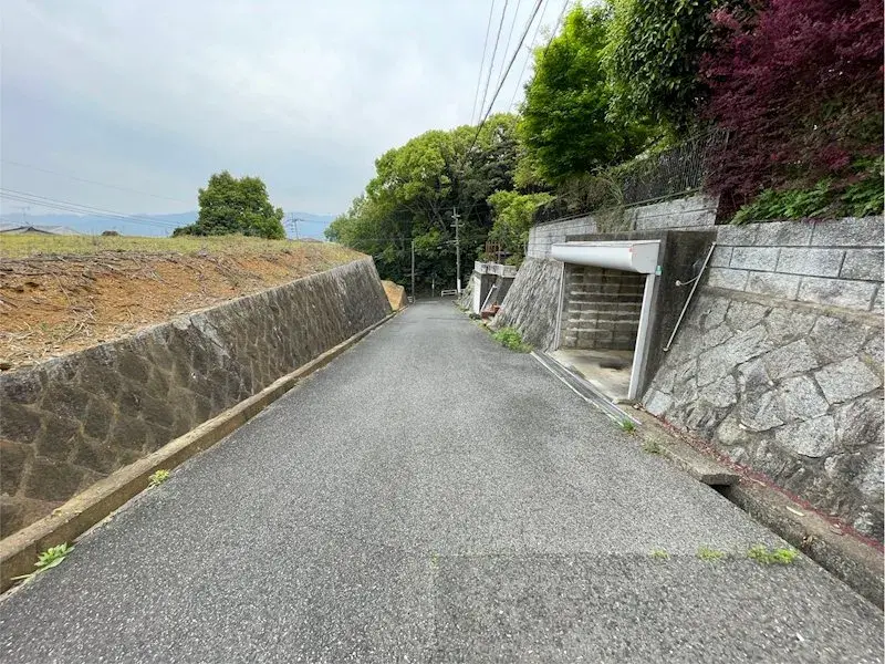 Slide 4