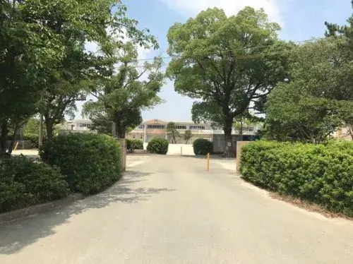 Slide 4