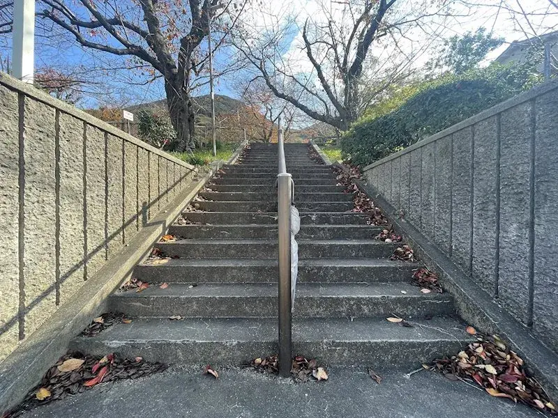 Slide 9