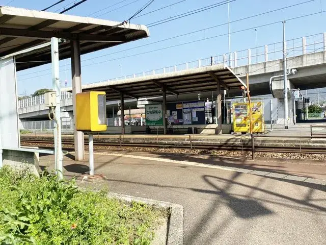 Slide 8