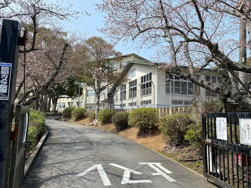 Slide 8