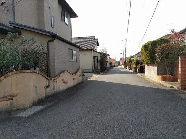Slide 4