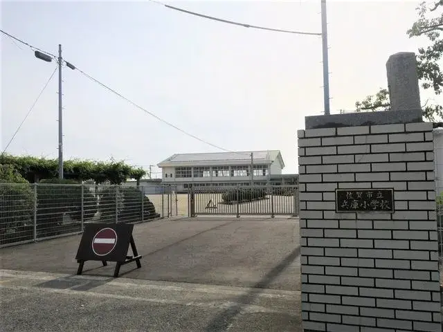 Slide 7
