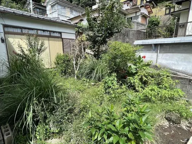 Slide 5