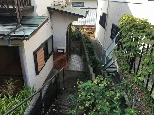 Slide 5