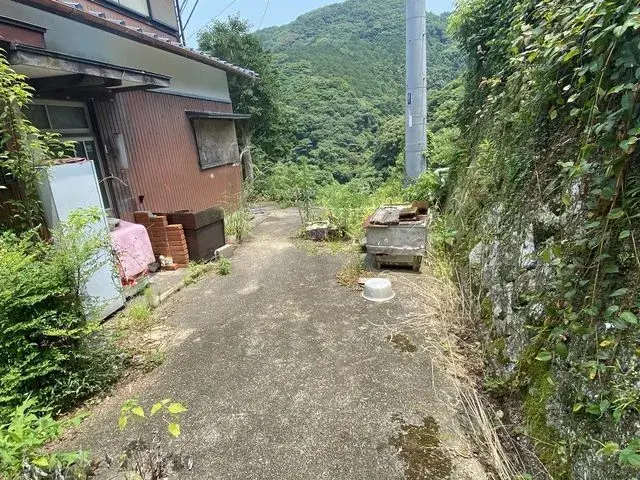 Slide 6