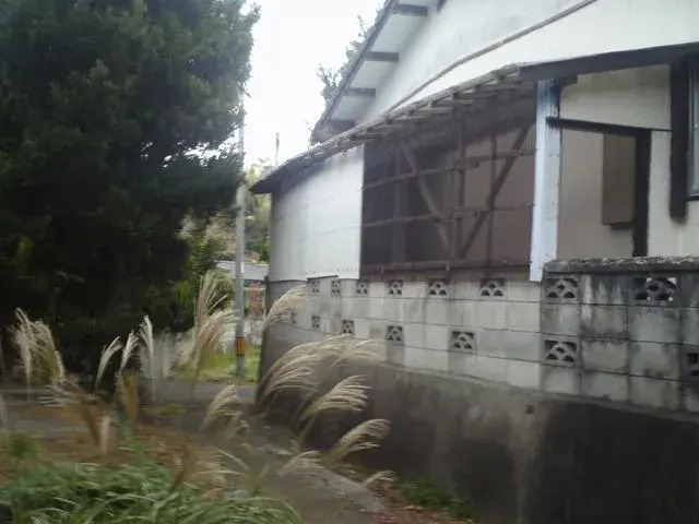 Slide 1