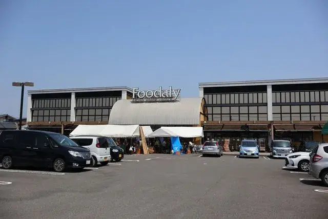Slide 5