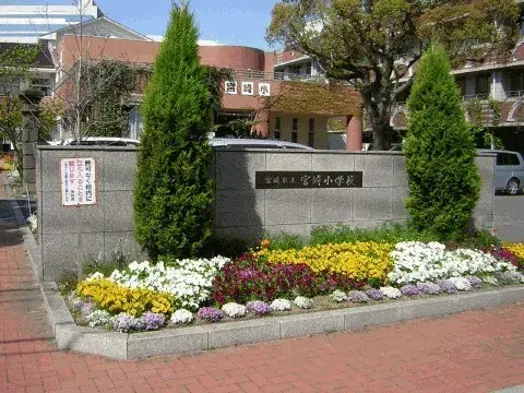 Slide 5