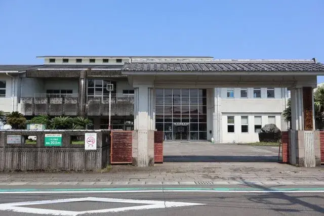 Slide 8