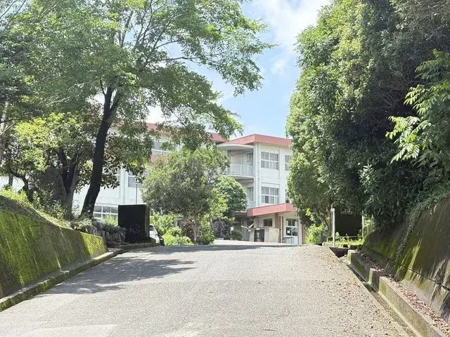 Slide 3