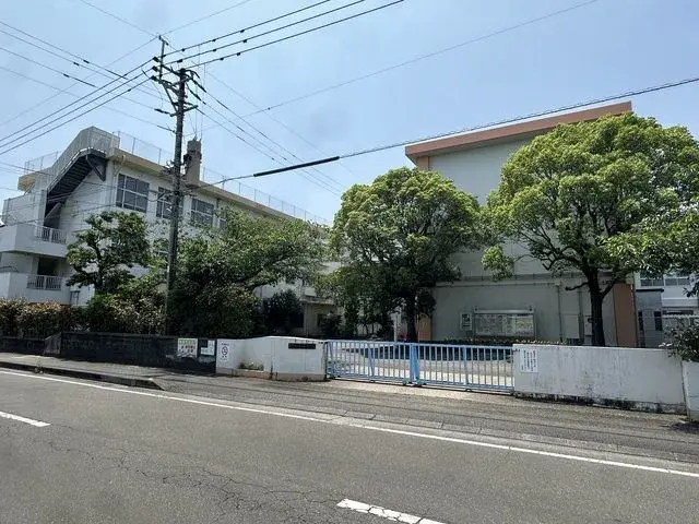 Slide 6