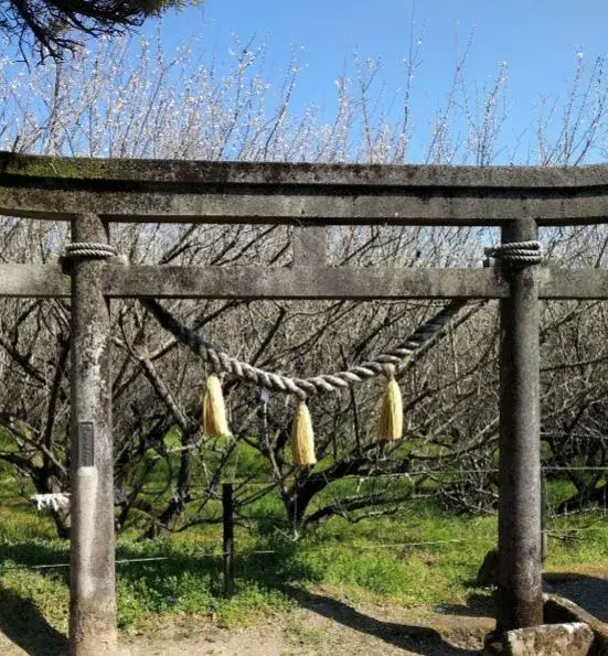 Slide 6