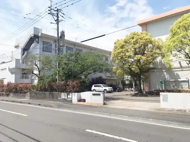 Slide 3