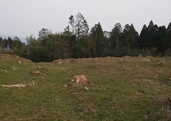 Slide 4
