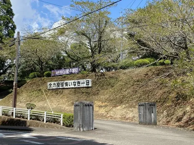 Slide 8