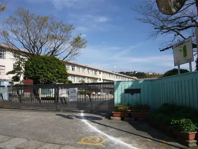 Slide 7