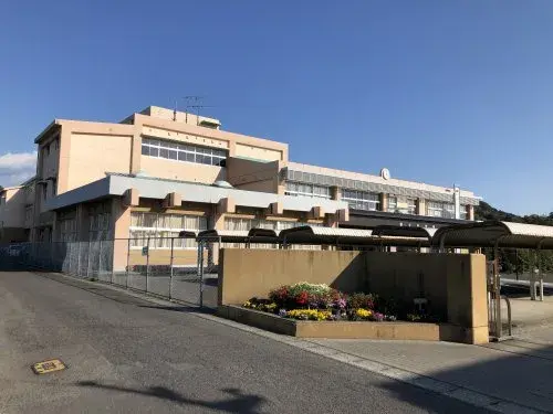 Slide 8
