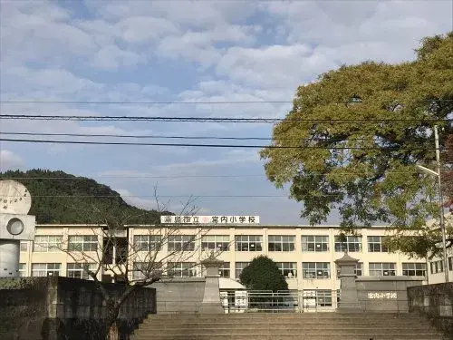Slide 6