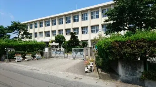 Slide 7