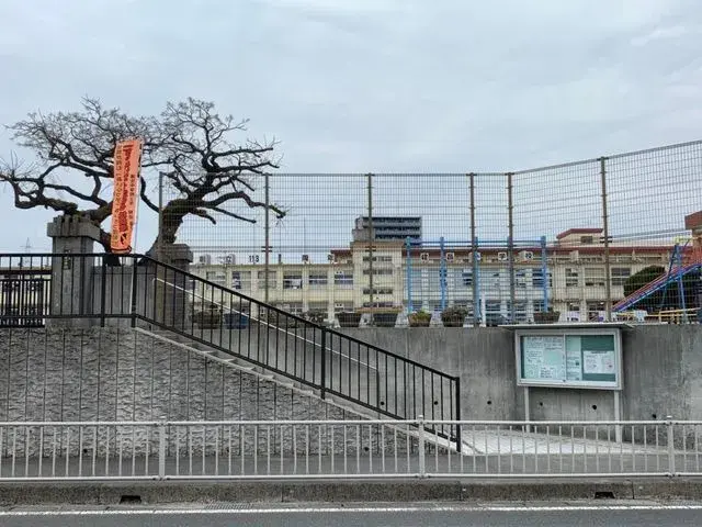 Slide 0