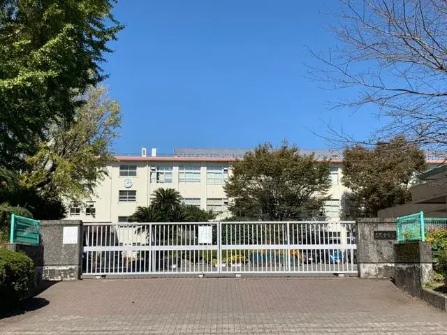 Slide 6