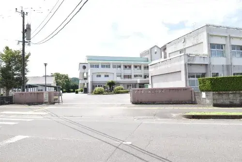 Slide 5