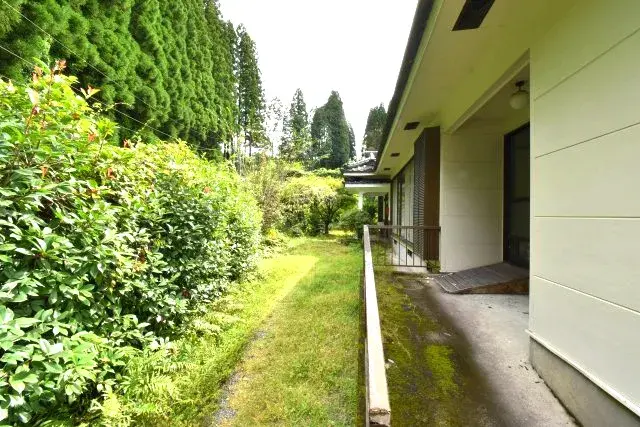 Slide 5