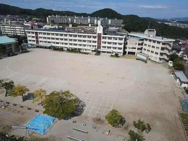 Slide 6
