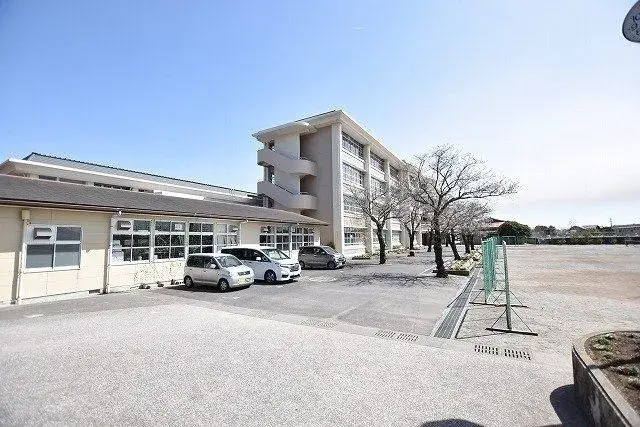 Slide 7