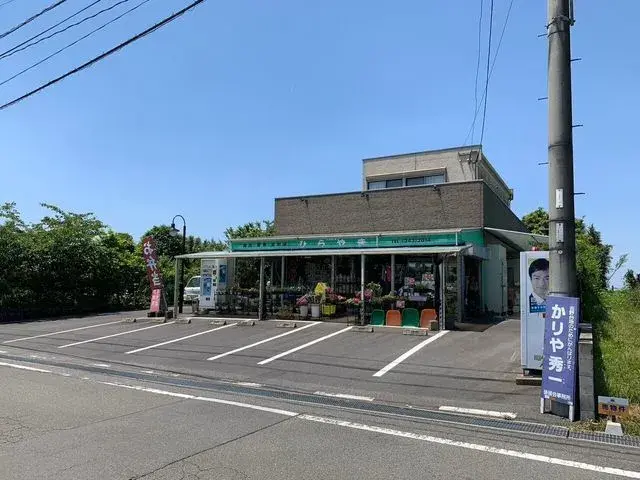 Slide 5