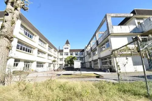 Slide 5