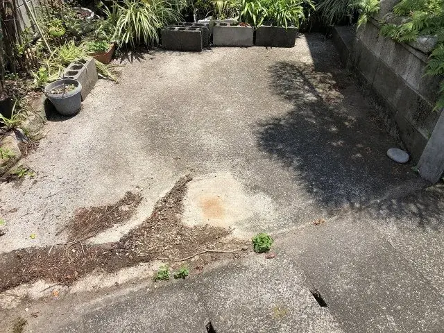 Slide 8